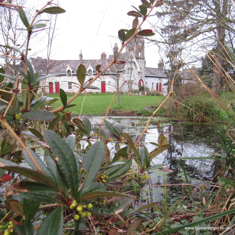 a view of Sheils Houses from the pond