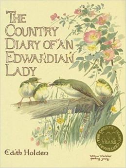 edwardian diary